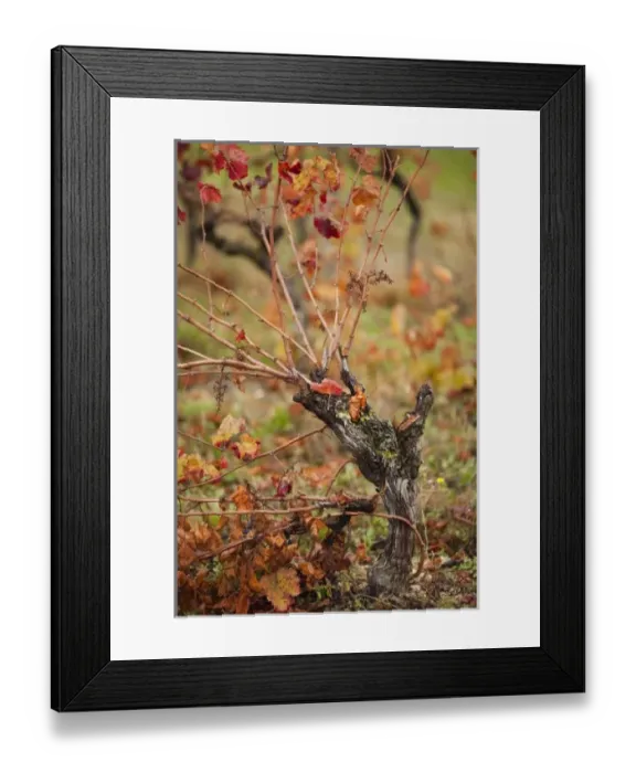 Framed Print : Europe, France