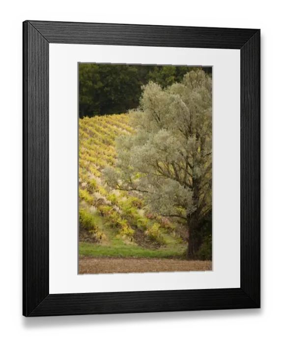 Framed Print : Europe, France Framed Print : Europe, France