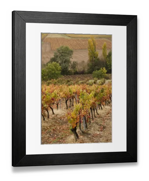 Framed Print : Europe, France Framed Print : Europe, France