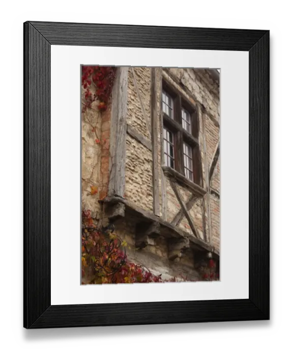 Framed Print : Europe, France