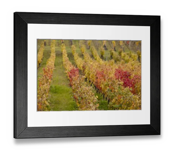 Framed Print : Europe, France Framed Print : Europe, France