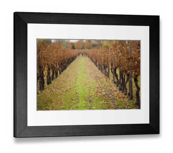 Framed Print : Europe, France Framed Print : Europe, France