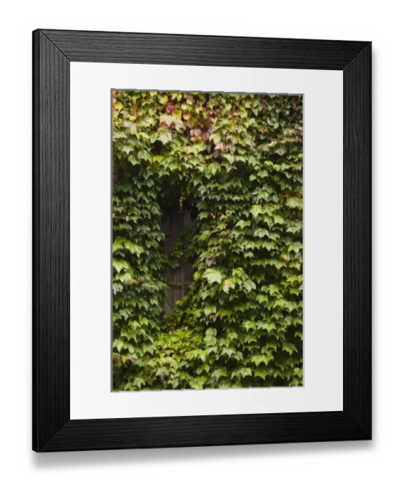 Framed Print : Europe, France