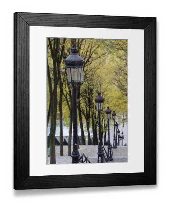 Framed Print : Europe, France