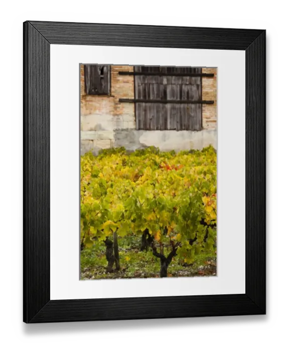 Framed Print : Europe, France