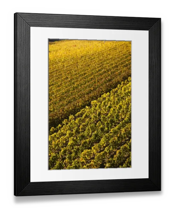 Framed Print : Europe, France