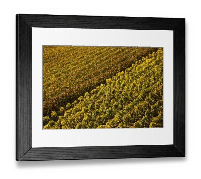 Framed Print : Europe, France