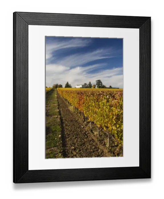 Framed Print : France, Aquitaine Region, Gironde Department, St-Emilion, wine town, UNESCO-listed Framed Print : France, Aquitaine Region, Gironde Department, St-Emilion, wine town, UNESCO-listed