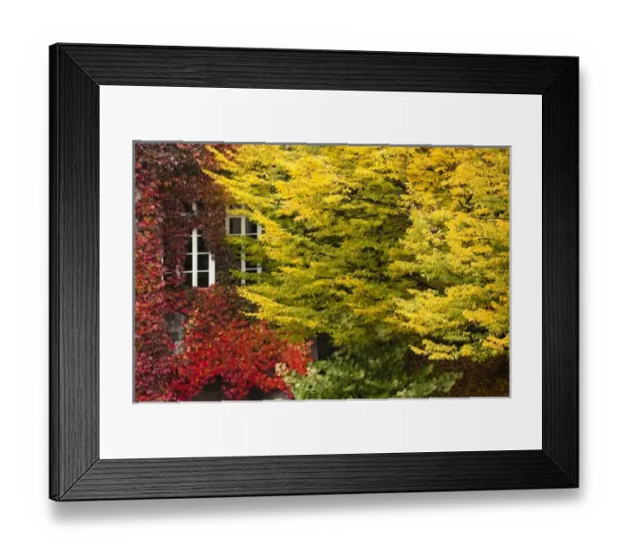 Framed Print : Europe, France Framed Print : Europe, France