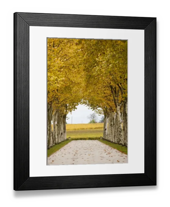 Framed Print : Europe, France Framed Print : Europe, France