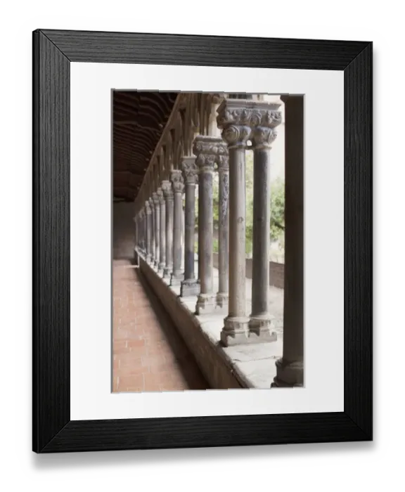 Framed Print : France, Midi-Pyrenees Region, Haute-Garonne Department, Toulouse, Musee des Augustins museum Framed Print : France, Midi-Pyrenees Region, Haute-Garonne Department, Toulouse, Musee des Augustins museum