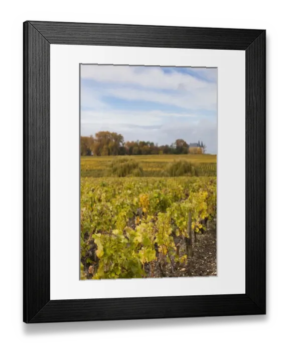Framed Print : Europe, France