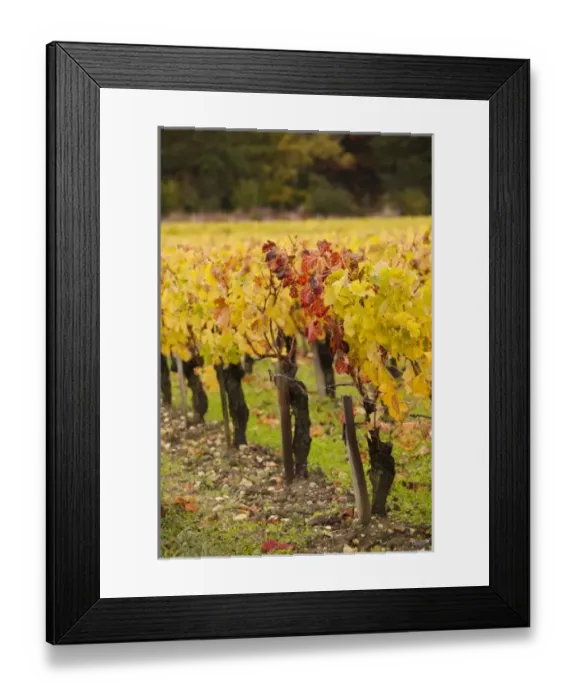 Framed Print : Europe, France Framed Print : Europe, France