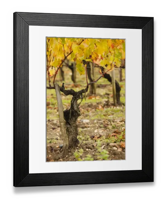 Framed Print : Europe, France