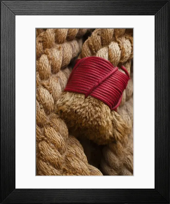 Framed Print : France, Poitou-Charentes Region, Charente-Maritime Department, Rochefort, Corderie Royale