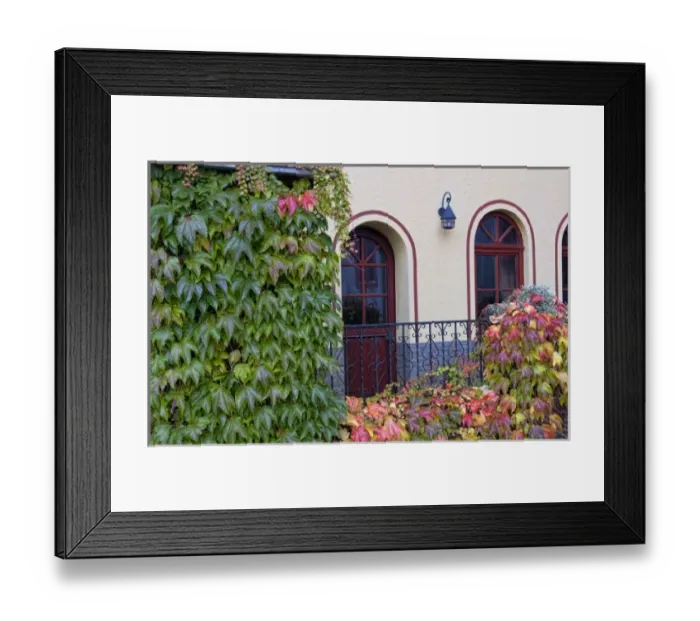 Framed Print : Autumn leaves in Bacharach, Germany Framed Print : Autumn leaves in Bacharach, Germany