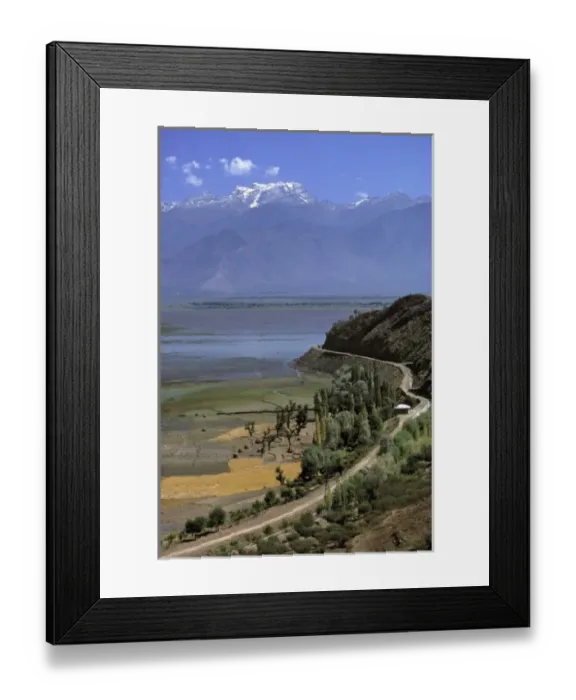 Framed Print : India, Kashmir, Srinagar. An overview of rice harvesting in Kashmir, India with Framed Print : India, Kashmir, Srinagar. An overview of rice harvesting in Kashmir, India with