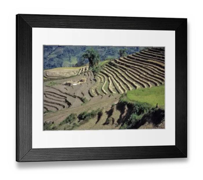 Framed Print : Asia, India