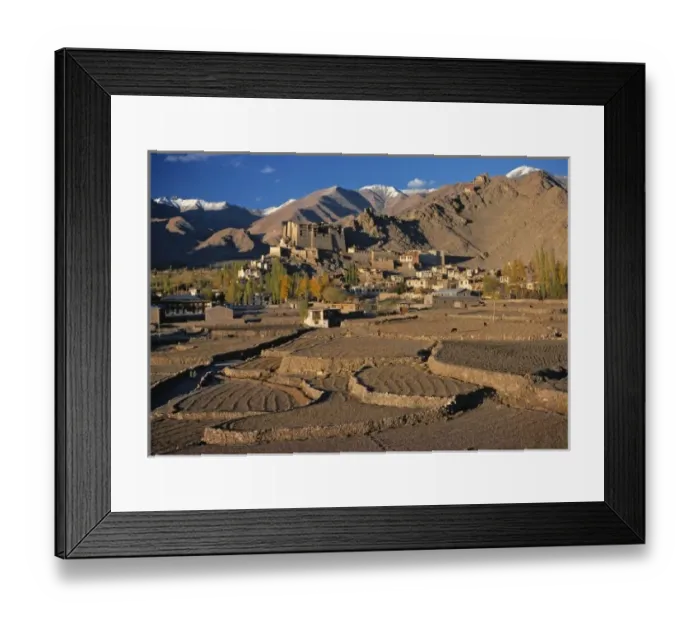 Framed Print : Asia, India, Ladakh, Leh. Leh, the main town in Ladakh, India, sit on a high plateau