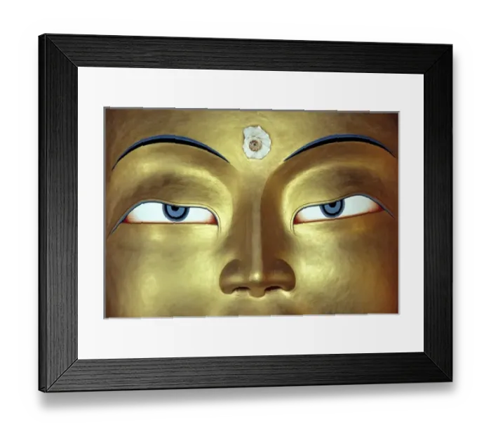 Framed Print : Asia, India