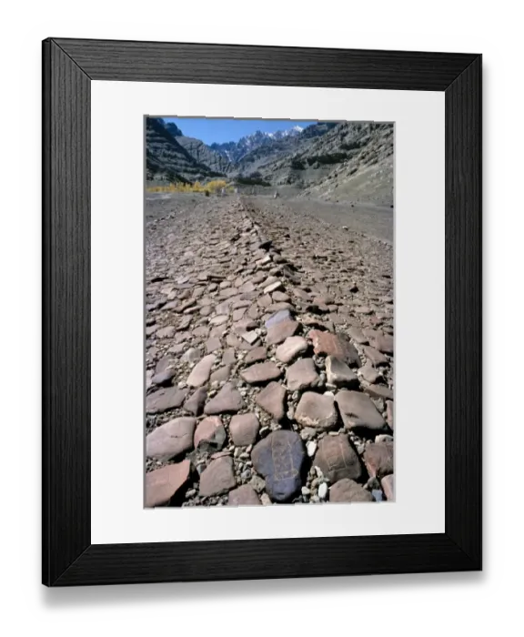 Framed Print : Asia, India, Ladakh. A close look at the richly-hued stones of the Mani wall, in Leh Framed Print : Asia, India, Ladakh. A close look at the richly-hued stones of the Mani wall, in Leh