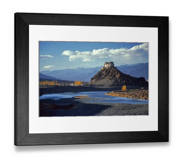 Framed Print : Asia, India, Ladakh, Stankna. Fall color highlights these poplar trees along Framed Print : Asia, India, Ladakh, Stankna. Fall color highlights these poplar trees along