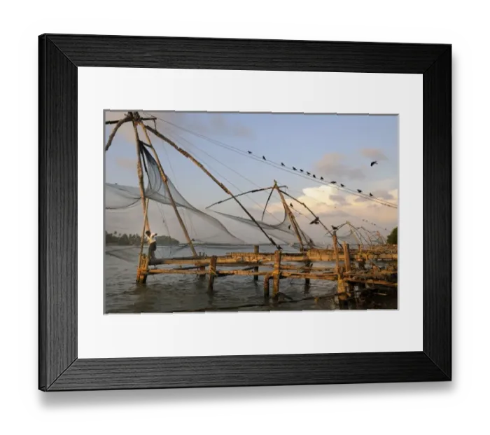 Framed Print : Asia, India, Kerala, Kochi (Cochin). A row of Chinese fishing nets Framed Print : Asia, India, Kerala, Kochi (Cochin). A row of Chinese fishing nets