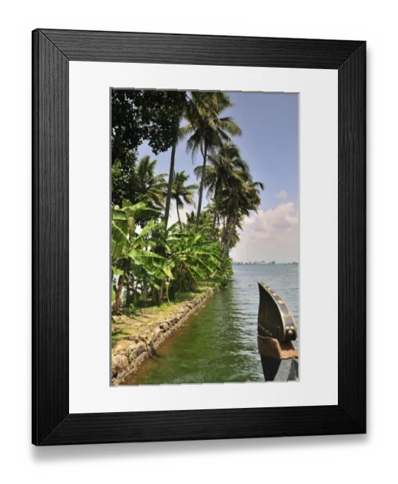 Framed Print : Asia, India Framed Print : Asia, India