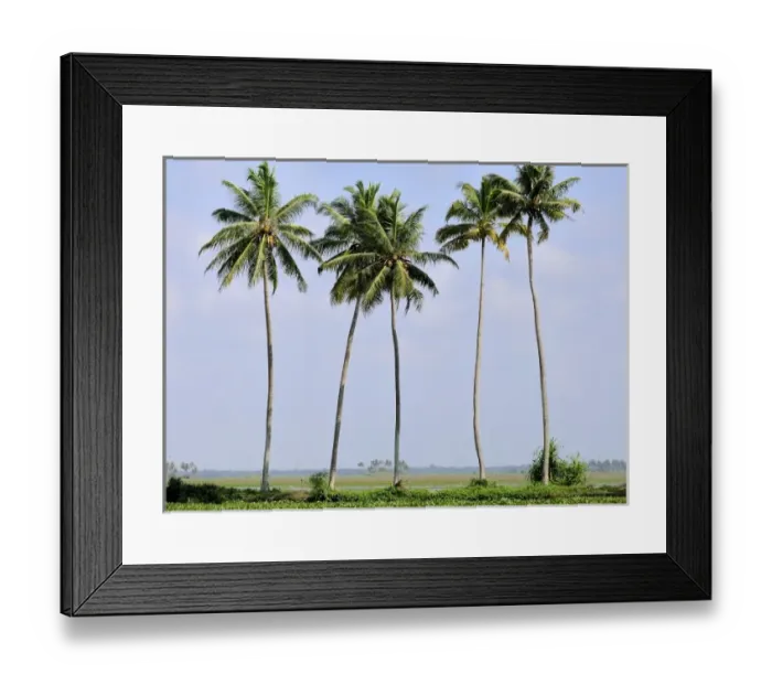Framed Print : Asia, India Framed Print : Asia, India