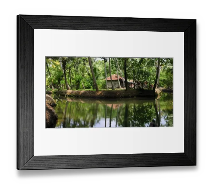 Framed Print : Asia, India