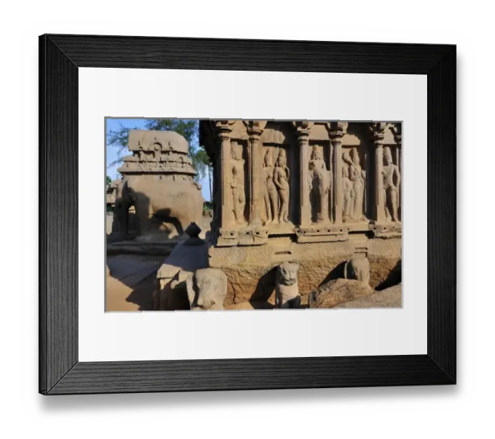 Framed Print : Asia, India