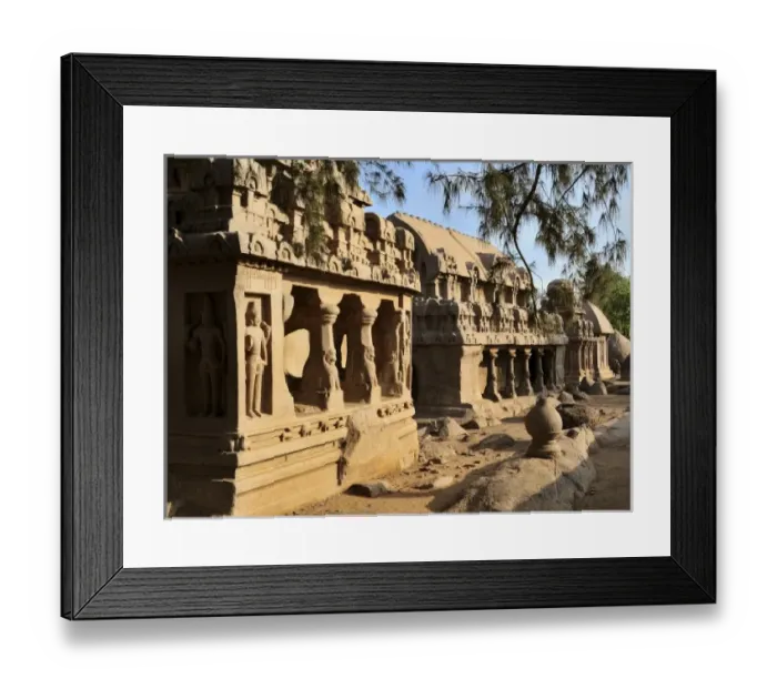 Framed Print : Asia, India Framed Print : Asia, India