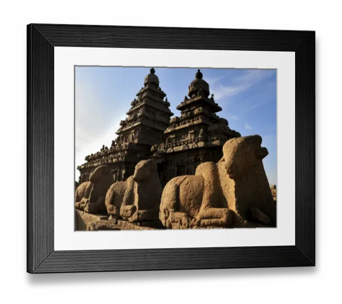 Framed Print : Asia, India