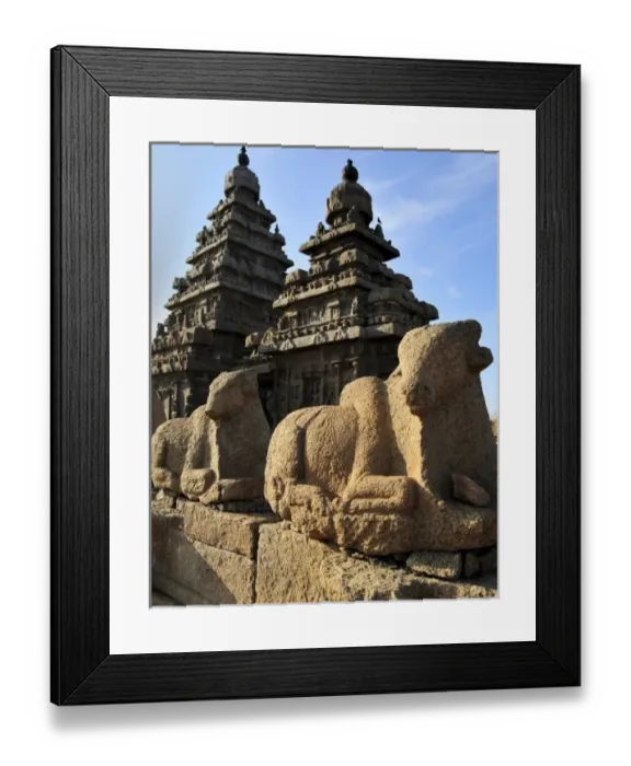 Framed Print : Asia, India