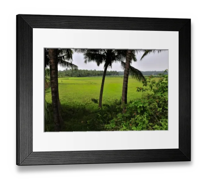 Framed Print : Asia, India Framed Print : Asia, India