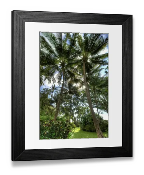 Framed Print : Asia, Indonesia Framed Print : Asia, Indonesia