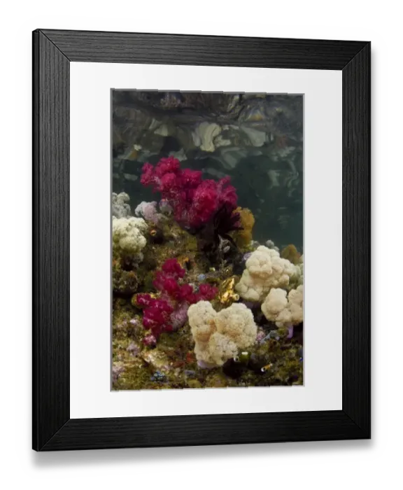 Framed Print : Asia, Indonesia