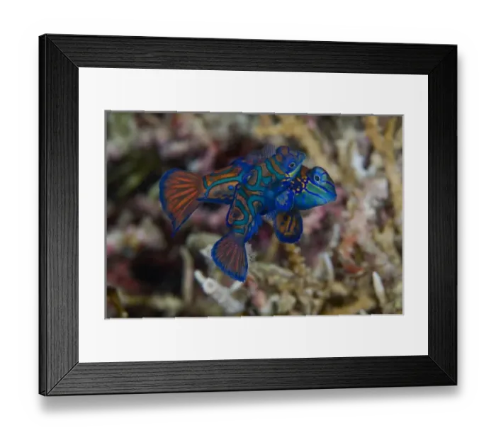 Framed Print : Asia, Indonesia