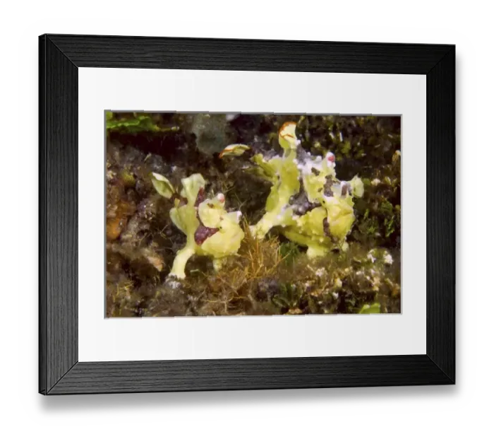 Framed Print : Asia, Indonesia Framed Print : Asia, Indonesia