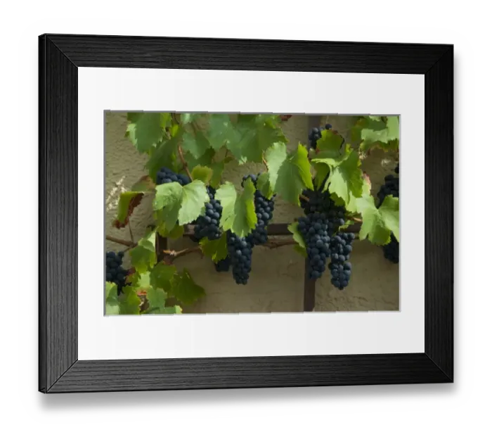 Framed Print : Europe, Germany Framed Print : Europe, Germany