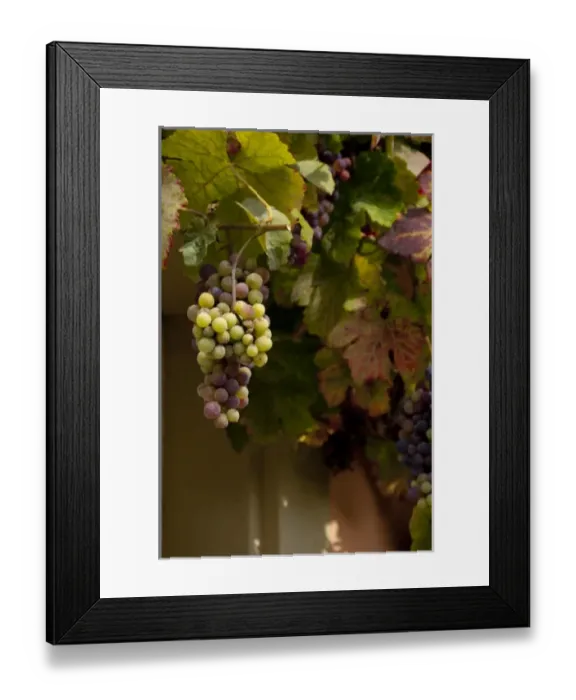 Framed Print : Europe, Germany