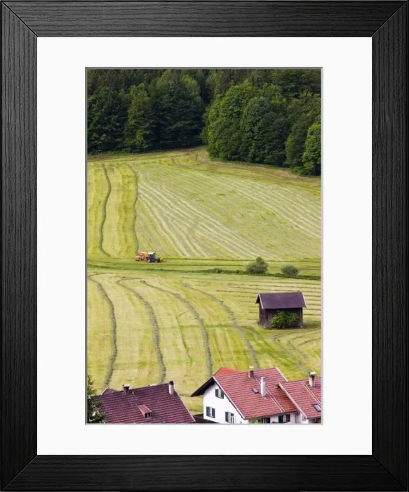 Framed Print : Europe, Germany Framed Print : Europe, Germany