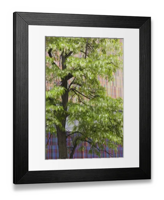 Framed Print : Europe, Germany Framed Print : Europe, Germany
