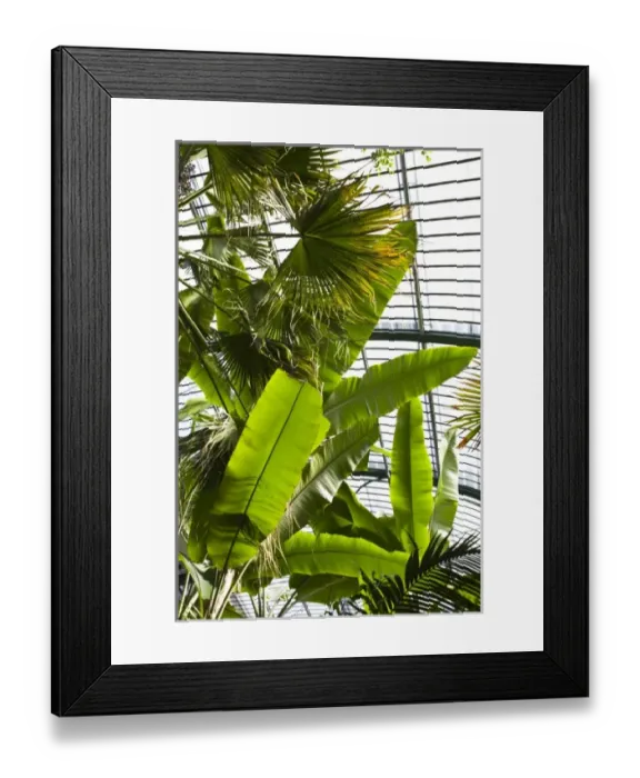 Framed Print : Europe, Germany Framed Print : Europe, Germany