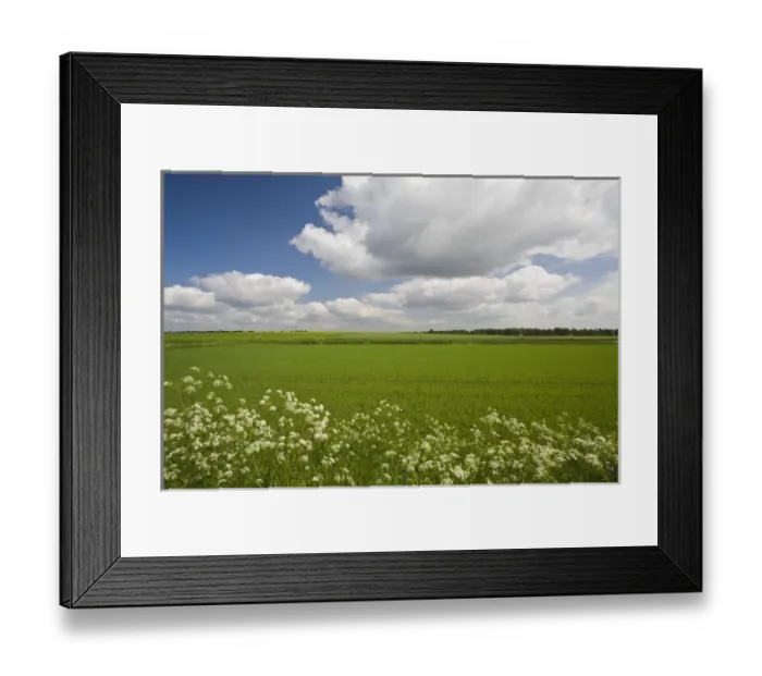 Framed Print : Germany, Niedersachsen, Bergen. Farm Field, springtime