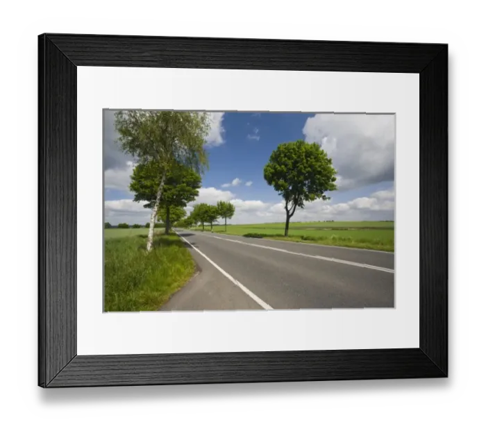 Framed Print : Germany, Niedersachsen, Bergen. Rt 3 in the spring