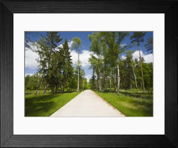 Framed Print : Germany, Niedersachsen. Bergen-Belsen WW2 concentration camp memorial, site of destroyed Framed Print : Germany, Niedersachsen. Bergen-Belsen WW2 concentration camp memorial, site of destroyed