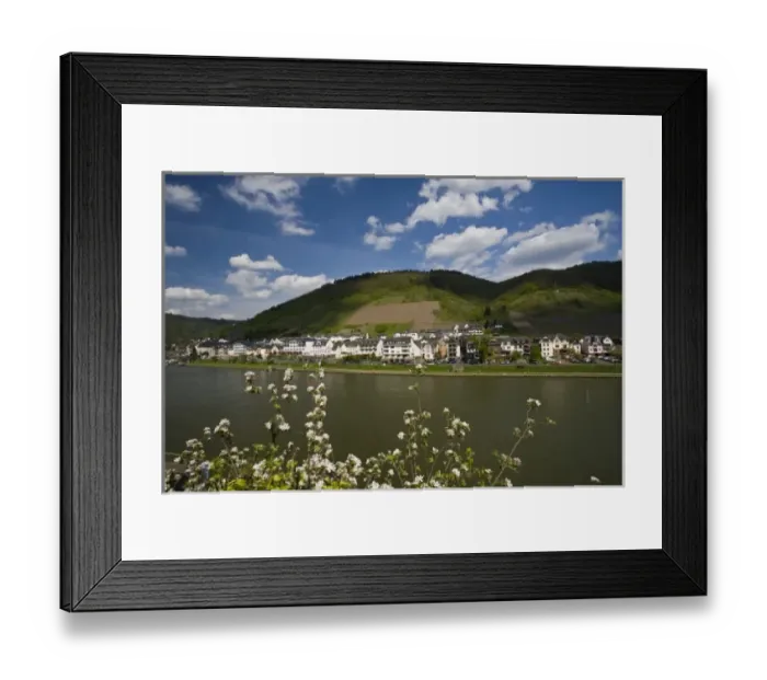 Framed Print : Germany, Rheinland-Pfaltz, Mosel River Valley, Cochem. Spring along the Mosel River Framed Print : Germany, Rheinland-Pfaltz, Mosel River Valley, Cochem. Spring along the Mosel River