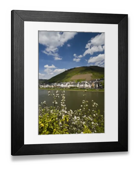 Framed Print : Germany, Rheinland-Pfaltz, Mosel River Valley, Cochem. Spring along the Mosel River Framed Print : Germany, Rheinland-Pfaltz, Mosel River Valley, Cochem. Spring along the Mosel River
