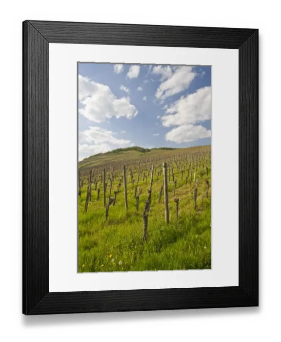Framed Print : Europe, Germany Framed Print : Europe, Germany